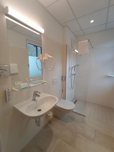 a bathroom with a sink and a toilet and a shower at Gesundheits- & Wellnessresort Salzerbad in Kleinzell