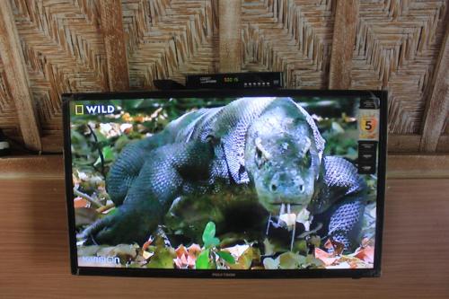 a television with a picture of a dog on the screen at Penida Hills in Nusa Penida