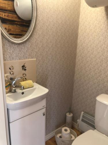a bathroom with a sink and a mirror and a toilet at Lille Lux Apartment in Viljandi