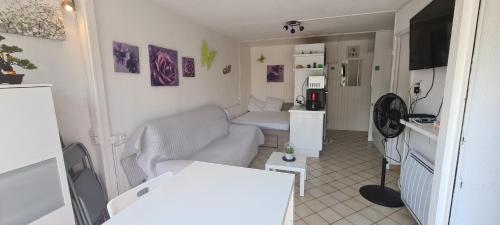 un salon avec un canapé et une cuisine dans l'établissement Maison bleue - balcons de la Méditerranée, à Narbonne