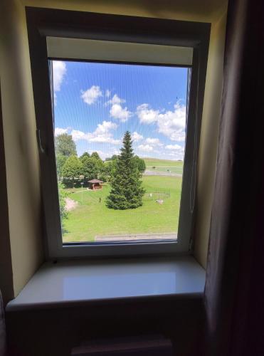 a window with a view of a field and trees at Trevena Endriejavas 