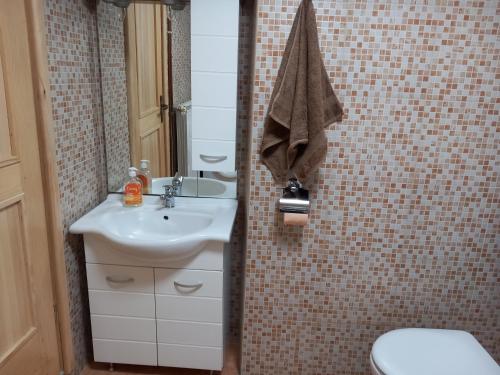 La salle de bains est pourvue d'un lavabo, de toilettes et d'un miroir. dans l'établissement Apartman Purga, à Fužine