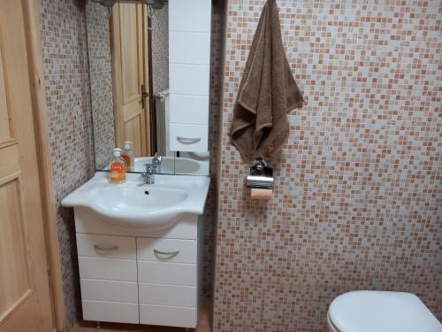Koupelna v ubytování Apartman Purga