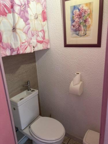 ein Bad mit einem WC und einem Blumenbild in der Unterkunft Appartement proche des halles in Narbonne
