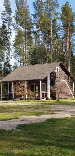 a house with a gambrel roof on a grass field at Tammispea puhkeküla in Tammispea