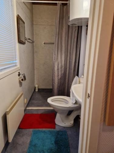 a small bathroom with a toilet and a sink at Utsikt mot viken in Undenäs