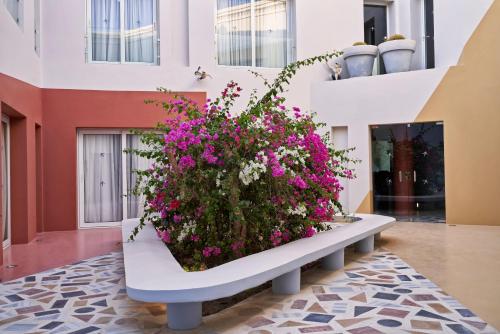 un grand pot de fleurs assis sur un banc dans un bâtiment dans l'établissement Turtle's Inn Hotel, à Hurghada