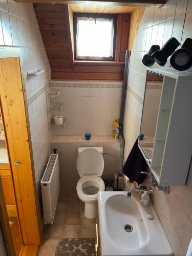 a small bathroom with a toilet and a sink at Apartmán Králiky in Králiky