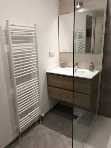 bagno con lavandino e doccia in vetro di Appartement moderne & lumineux 40m2 Centre Luxeuil a Luxeuil-les-Bains