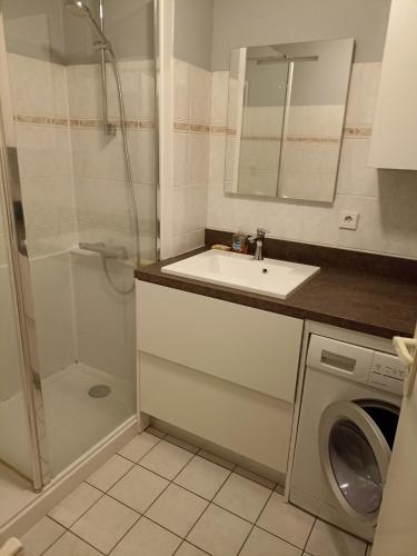 La salle de bains est pourvue d'un lavabo, d'une douche et d'un lave-linge. dans l'établissement Bayonne appartement 63m2 avec terrase parking wifi, à Bayonne