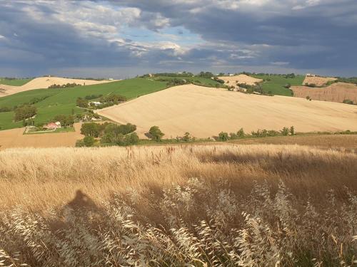 a field of grass with hills in the background at Apartment Terre Roveresche in San Giorgio di Pesaro