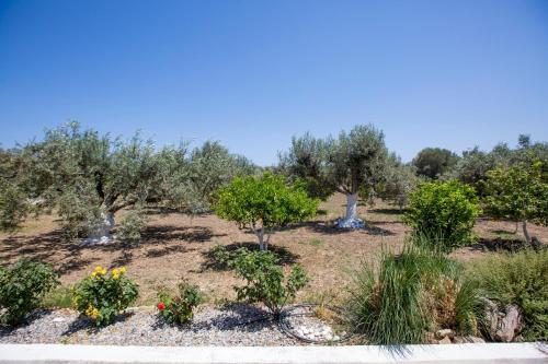 a garden with trees and flowers in a field at Serenity Sea-View Home in Afantou