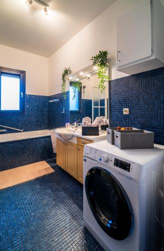 une machine à laver dans une salle de bain avec un lavabo dans l'établissement Maison 6ch, vue sublime & parc arboré, à Charleville-Mézières