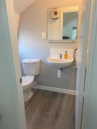 a bathroom with a toilet and a sink and a mirror at Woodland Lodge in Hoddesdon