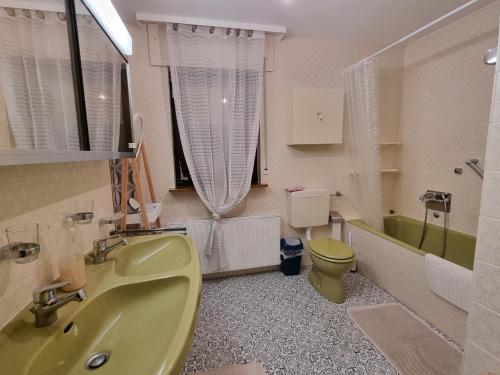 een badkamer met een groene wastafel en een toilet bij Ferienhaus Magnolie in Großheubach