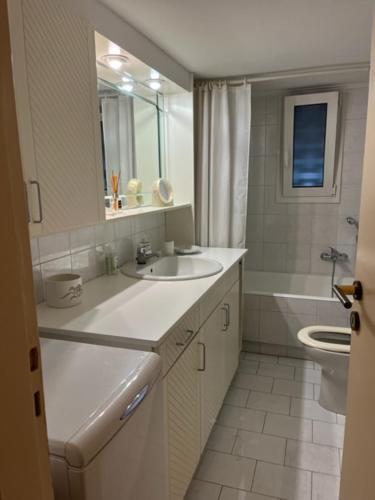 bagno bianco con lavandino e servizi igienici di Spacious and sunny appartment in Cholargos ad Atene