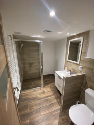 a bathroom with a shower and a toilet and a sink at Je-sen, ubytování na horách s bazénem a infrasaunou in Jeseník