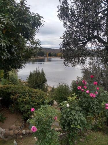 a view of a lake with pink roses at Dos Pajaros in Villa Pehuenia