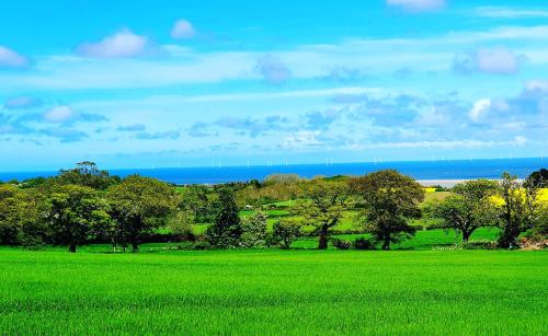 a green field with trees and the ocean in the background at Hut Haf in Talacre