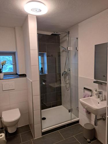 La salle de bains est pourvue d'une douche, de toilettes et d'un lavabo. dans l'établissement Martina's Place Bed & Breakfast, à Rottenbuch