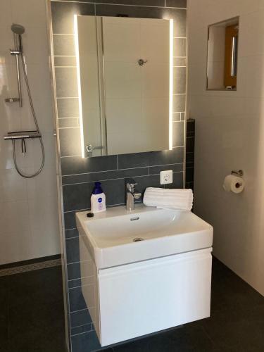 a bathroom with a white sink and a mirror at Het Klavertje in Laren