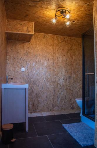 une salle de bain avec un lavabo et des toilettes dans l'établissement La Réserve Bagherra nuit insolite et soins bien-être, à Saint-Girons-dʼAiguevives