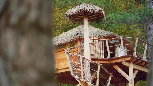 a tree house with a straw roof at Pine Point in Trenčianske Teplice