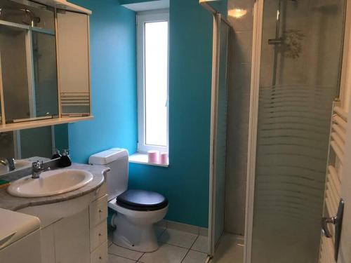een badkamer met een toilet, een wastafel en een douche bij Charmant appartement au calme avec parking in Besançon