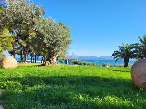 O Paradise Beach Resort & Spa – Photos 3