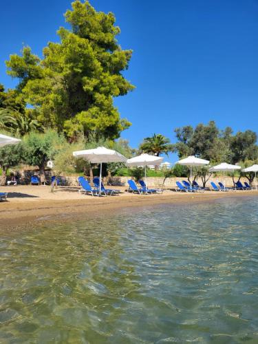 O Paradise Beach Resort & Spa – Photos 2
