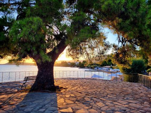 O Paradise Beach Resort & Spa – Photos 5