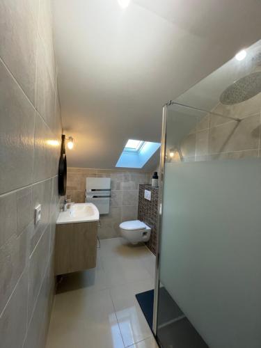 W łazience znajduje się prysznic, umywalka i toaleta. w obiekcie Nuits en Sologne w mieście Romorantin