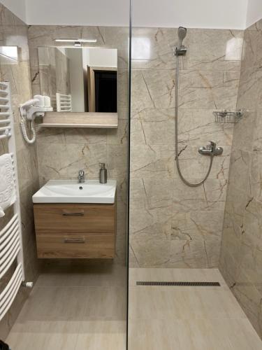 a bathroom with a shower and a sink at Pension Kadlcuv Mlyn in Brno