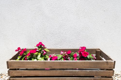 a wooden box with red flowers in it at Casa Limonada Boutique Motel in Sarasota