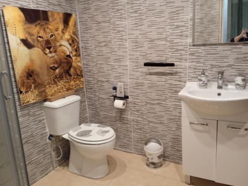 un baño con aseo y una foto de un león en Casa Mónica, en Villalba dels Arcs