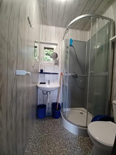 a bathroom with a shower and a sink and a toilet at OW HOLIDAY Wicie in Wicie