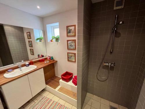 een badkamer met een wastafel en een douche bij Skønne værelser med adgang til pejsestue og have in Risskov