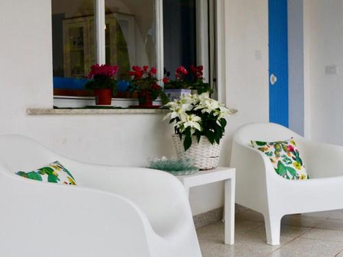 la maison bleue – Photos 3