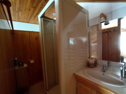 a bathroom with a sink and a glass shower at NOMAD ALP B&B in Marthod