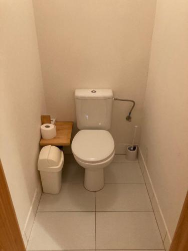a small bathroom with a toilet and a sink at Apartment Žižkova 159, Terezín in Terezín