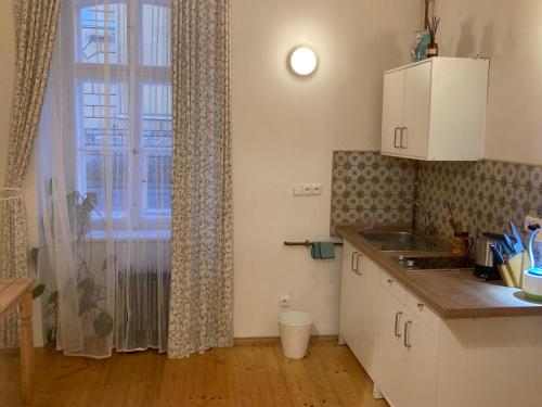 a kitchen with a sink and a window in a room at Apartment Žižkova 159, Terezín in Terezín