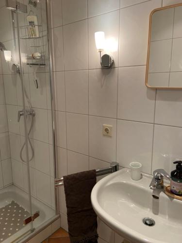 a bathroom with a shower and a sink and a mirror at Gartenzimmer zwischen den Meeren in Ladelund