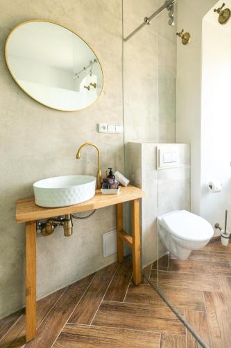 a bathroom with a sink and a toilet and a mirror at Penzion Fara pod Milešovkou in Velemín