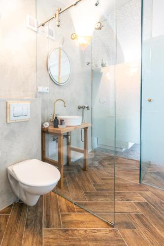 a bathroom with a toilet and a sink and a shower at Penzion Fara pod Milešovkou in Velemín
