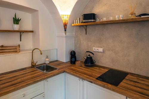a kitchen with a sink and a counter top at Penzion Fara pod Milešovkou in Velemín