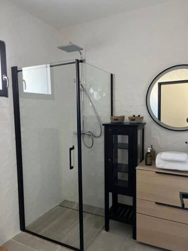 a glass shower in a bathroom with a mirror at Appartement centre de Roanne 38m2 in Roanne