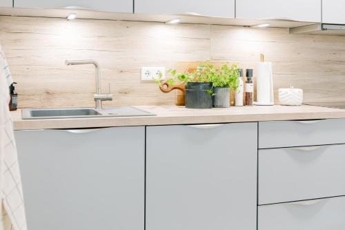Dapur atau dapur kecil di Ferienwohnung Nordic Calm am Kellersee