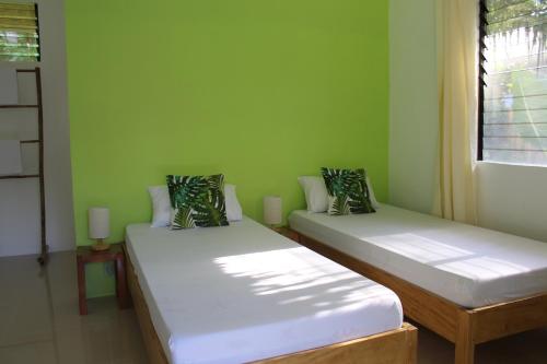 2 łóżka w pokoju z zielonymi ścianami i oknem w obiekcie Happy Coconut Camiguin w Mambajao