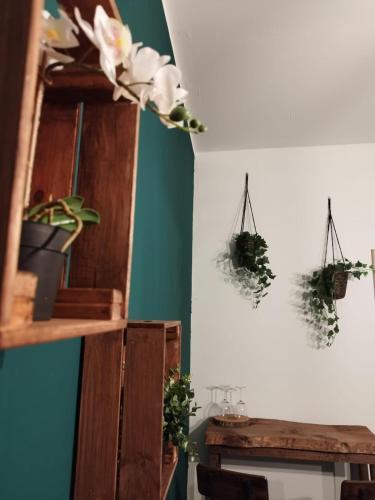 a room with two plants hanging on the wall at Al Civico 15 Apartment in Salerno