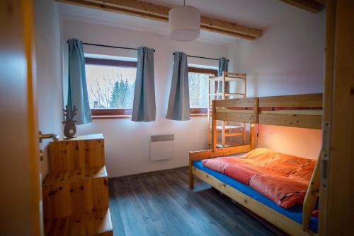 a bedroom with a bunk bed and a window at Apartmán Remedy in Loučná nad Desnou